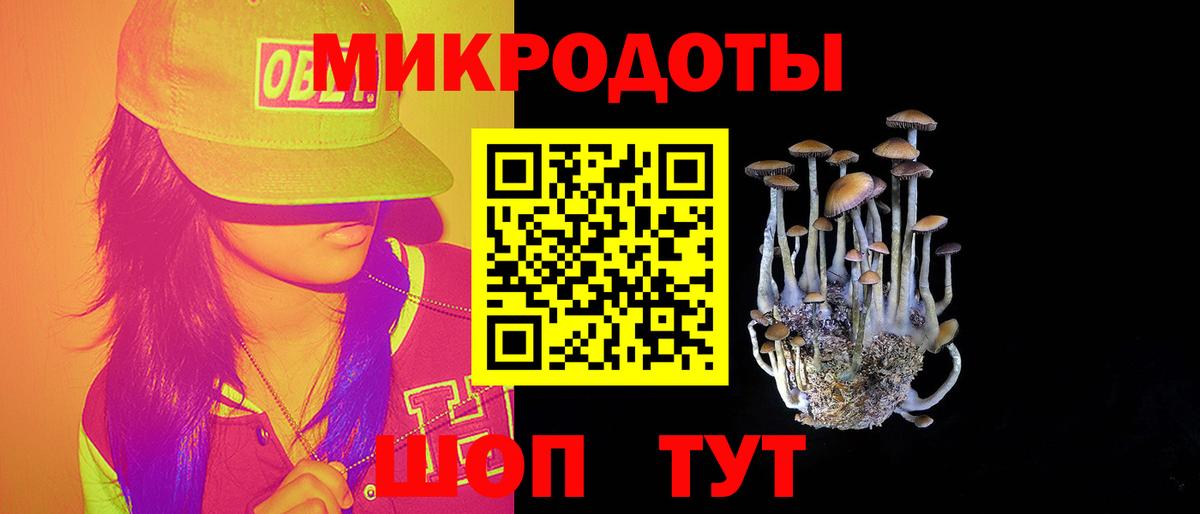 Галлюциногенные грибы мухоморы  Вход с VPN  купить  сайты  Саянск 